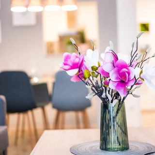 BoRa Apartment Villach (3)