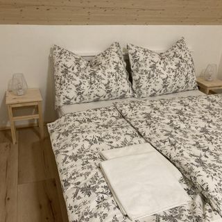 Wolf Gabreta Stachy_torolt_20250717 (3)