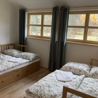 Wolf Gabreta Stachy_torolt_20250717 (2)