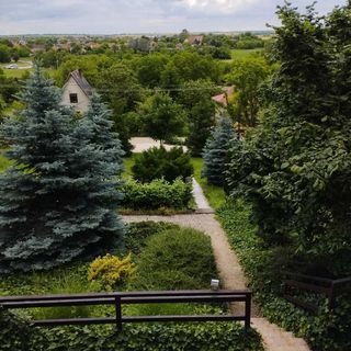 Madárdal Vendégház Töltéstava (2)