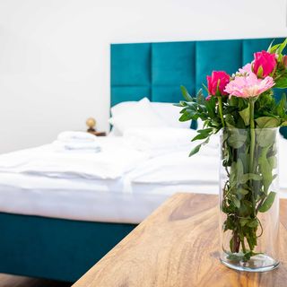 Luxusní apartmán KRKONOŠE v resortu možností privátního wellness (3)