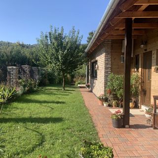 Tündérrózsa Vendégház Tahitótfalu (2)