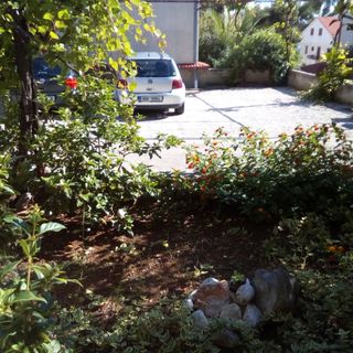 Apartmanok A Tenger Mellett Ivan Dolac, Hvar - 18269 Ivan Dolac (2)