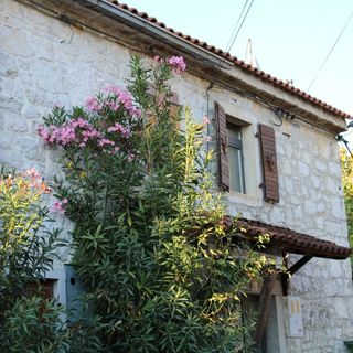 House Sammon Funtana (3)