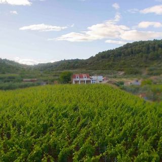 Apartmani Filip Vis (2)