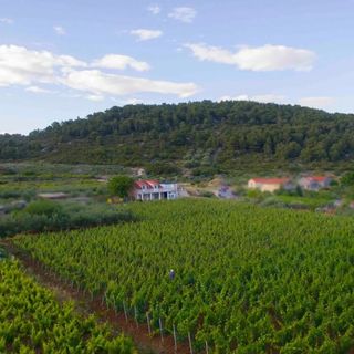 Apartmani Filip Vis (4)