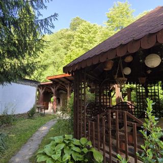 Căsuța Floare de Colț Clopotiva (5)
