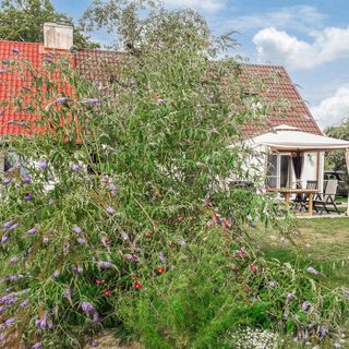 Apartman Wolin - PPO850 (2)