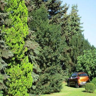 Tiszavirág Apartman Tiszafüred (2)