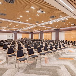 Fagus Hotel Conference & Spa Sopron (3)