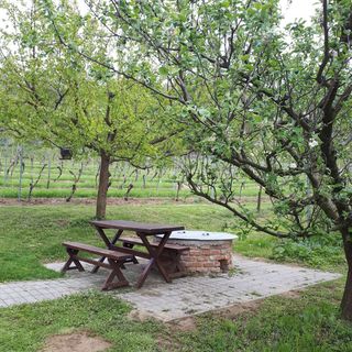 Kéknefelejcs Vendégház Tapolca-Diszel (3)