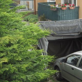 Casa Ciliegia Balatonfüred (3)