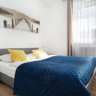 Apartamenty La Villa Superior II Kudowa-Zdrój (3)