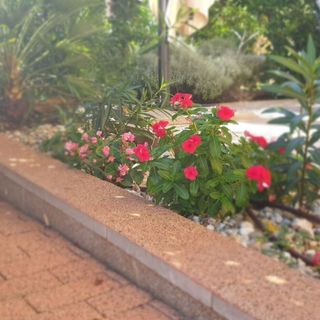 Villa Ada Malinska (5)