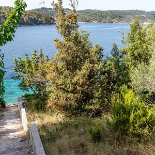 Vendégház Vela Luka - CDS741 (5)