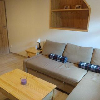 Chalupa na Mlýně Holčovice (4)