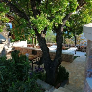 House Anica Starigrad Paklenica (4)