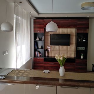 Selyem Kuckó Apartman Miskolc (2)