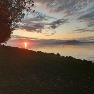 BB-Ház Balatonboglár (2)