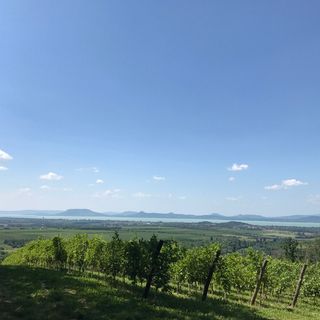 Késa Escape Cottege Balatonlelle (5)