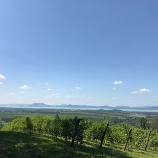 Késa Escape Cottege Balatonlelle (5)