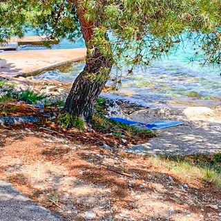 Apartman Rogoznica - CDJ864 (4)