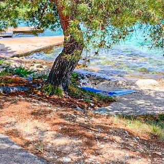 Apartman Rogoznica - CDJ864 (4)