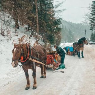 Apartamenty Przy Strumyku Szczawnica (5)