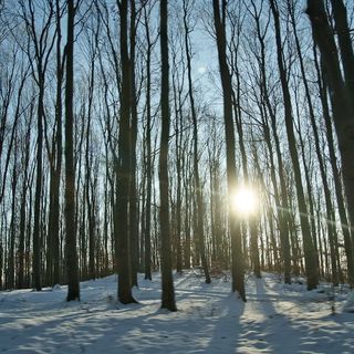 MátraForRest Apartman Mátraszentistván  (2)