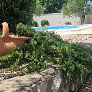 Vendégház Polača - CDI099 (3)