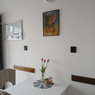 Napraforgó Magánszállás Miskolc (4)