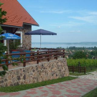 Szent Orbán Vendégház Ábrahámhegy (2)