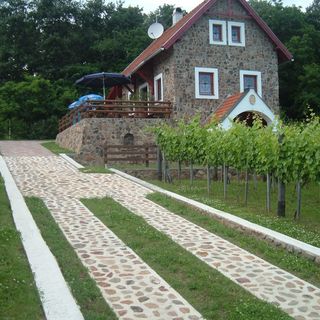 Szent Orbán Vendégház Ábrahámhegy (4)