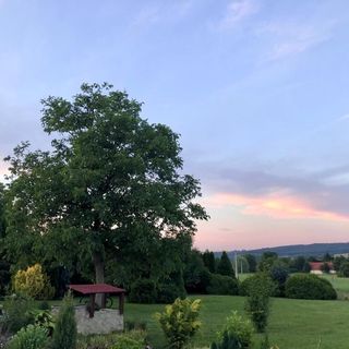 Ulics Vendégház Zalacsány (3)