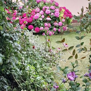 Kétpatkós Vendégház Vonyarcvashegy (3)