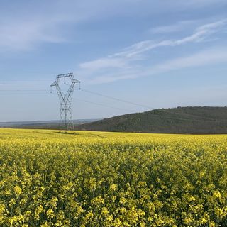 Málna Vendégház Egeraracsa (5)