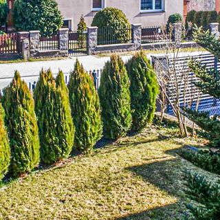 Vendégház Chmielno - PKA254 (4)