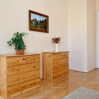 Apartmán U Kaple Třeboň (5)