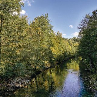 Vendégház Ravna Gora - CKB345 (4)