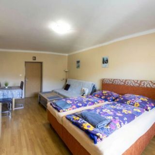 Pension Hejnice (4)