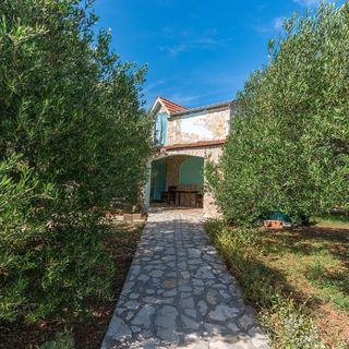 House Tiana Tkon (5)