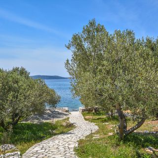 House Otusi Tkon (4)