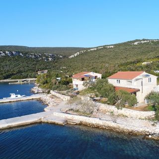 House Dolphin Tkon (5)