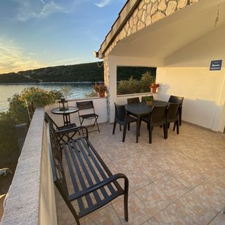 House Dolphin Tkon (2)