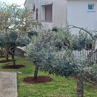 Apartmanok A Tenger Mellett Malinska, Krk - 19264 Malinska (5)