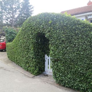 Apartmanok Parkolóhellyel Malinska, Krk - 19288 Malinska (3)