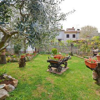 Apartment Loredana Porec (5)