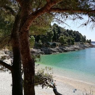 Apartments Jadranka Pula (3)