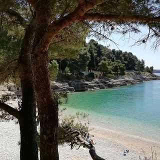 Apartments Jadranka Pula (3)