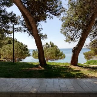 Apartments Jadranka Pula (2)